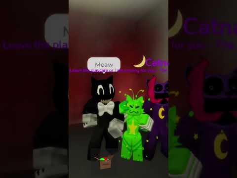 i gattini#alex#Vincenzo#HoodRix