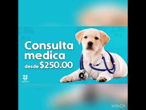 WhatsApp Video 2020 04 28 at 5 57 06 PM