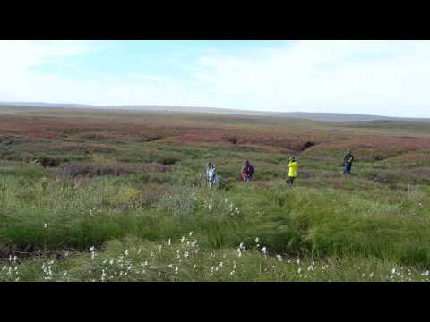 大解凍。阿拉斯加永久凍土的地面真相 (The Big Thaw: Ground-Truthing Permafrost in Alaska)