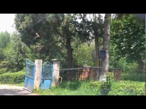 Zau de Campie - Castel