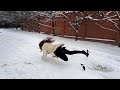 Slippery High Heels Mules Lost Shoes Walk Walking On Snow Without Shoes High Heels On Ice 916