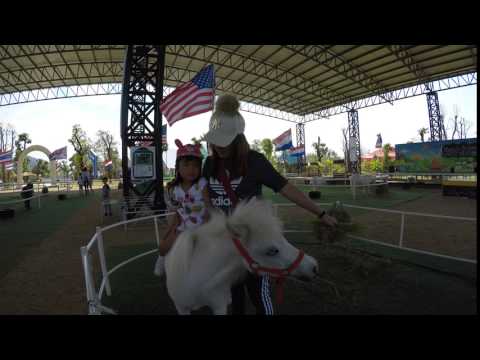 2017.03.24-25 ChiangMai_4