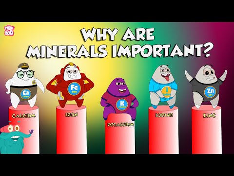 Why Are Minerals Important? | Functions Of Minerals | The Dr Binocs Show | Peekaboo Kidz