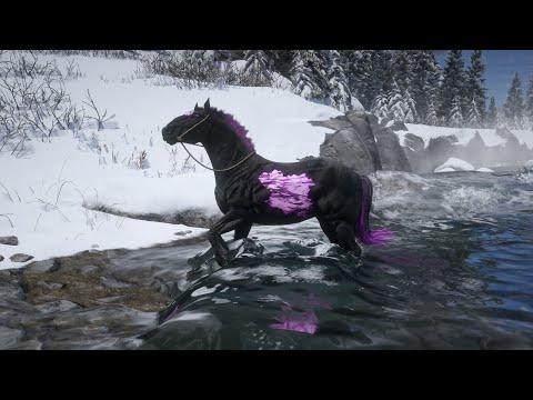Arthur Morgan cought beautiful horse | rdr2