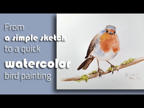 From pencil sketch to watercolor painting | Quick and easy bird painting | robin bird painting