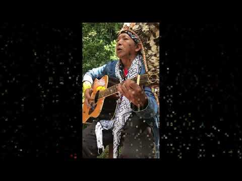 Cerimônia Huni Kuin com a medicina Nixi Pae (Ayahuasca)