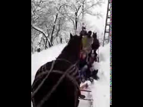 Dezapezire Str.Muscel.Jud.Dambovita....(2014)