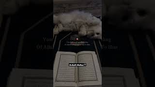 Download lagu Tahajjud🤲🏻❤️#shorts #trending #nasheed mp3 Download lagu Tahajjud🤲🏻❤️#shorts #trending #nasheed mp3