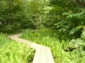 channel