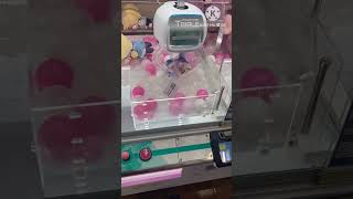 【ホロライブ】姫森ルーナたんのぬいぐるみゲット！？#ホロライブ #姫森ルーナ#ルーナたん#ルーナイト#ゲーセン#クレーンゲーム