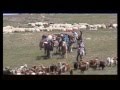 Bi mongolooroo goydog 