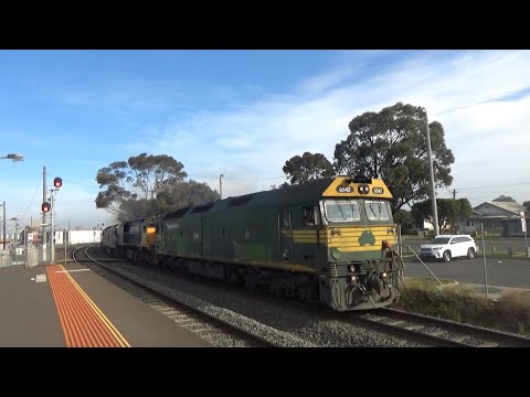 G542, XR559, G523, 8113 7902V Fruit Passing North Shore Station