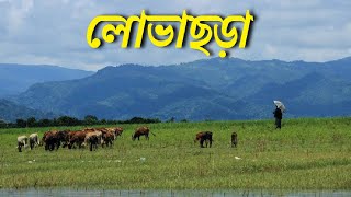 লোভাছড়া চা বাগান