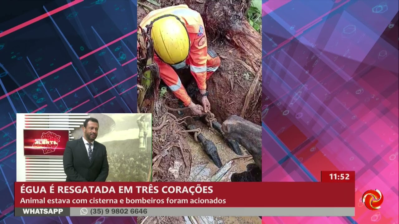 Égua é resgatada em uma cisterna em Três Corações