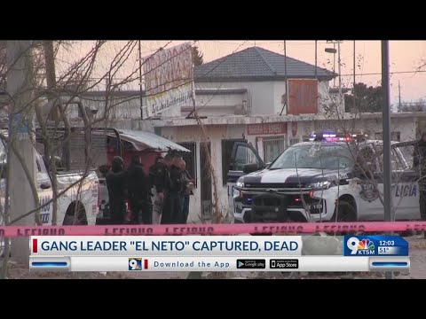 Gang leader "El Nieto" captured, dead