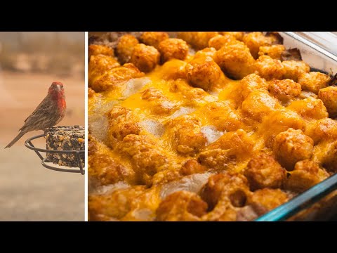 GREEN CHILE TATER TOTS: Dieses Zuschauerrezept vereint jede Menge Geschmack in einem Gericht