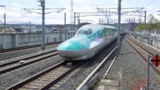 preview picture of video '東北新幹線E5系はやて23号 八戸駅到着 Super Express HAYATE'