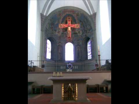 Jaromír Nohavica - Kosatá a Zubatá