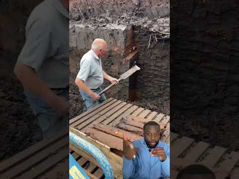 Does This 100 Year Old Digging Technique Make Any Sense? #shorts
