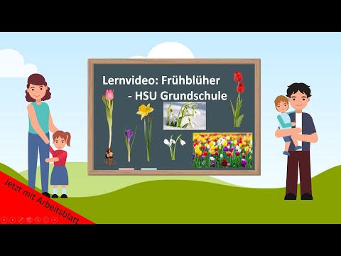 Lernvideo: Frühblüher 🌷- HSU Grundschule