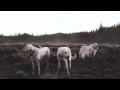 Foxing / The Medic [HD] 