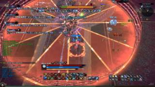 듀리온 상급 막넴 영상 권술사 시점