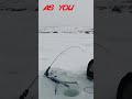 Video Thumbnail for Walleye Techniques For Beginners