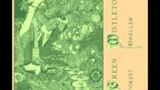 Green Mistletoe-Stone Ring In Open Glade(HD)