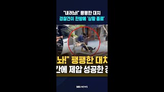 내려놔! 팽팽한 대치..경찰견이 한방에 '상황 종료' #shorts