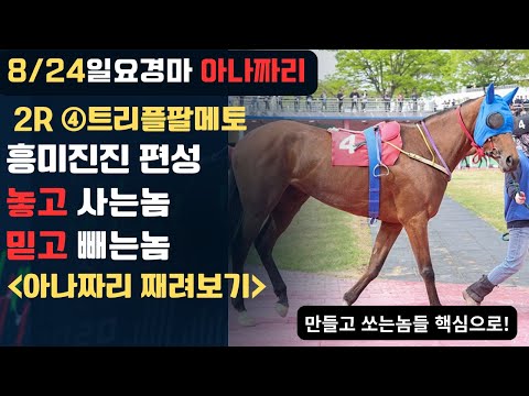 8/24 일요-윤택-경마 아나짜리 결과물 갖고올 [총력전]