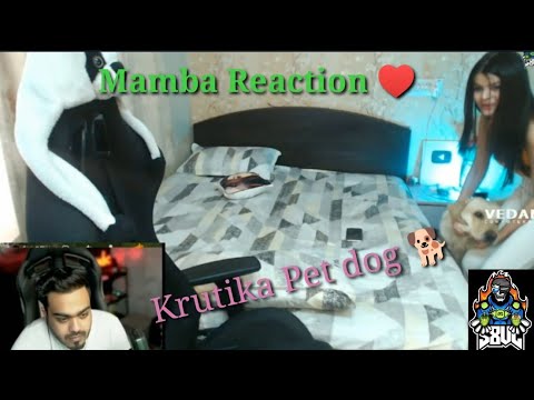 Krutika showing her pet Dog 🐶 || Mamba Reaction on Pet dog ♥️