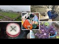 How To Indian Housewife Morning Daily Routine Vlog House Maker Morning Routine Sanainlifestyel