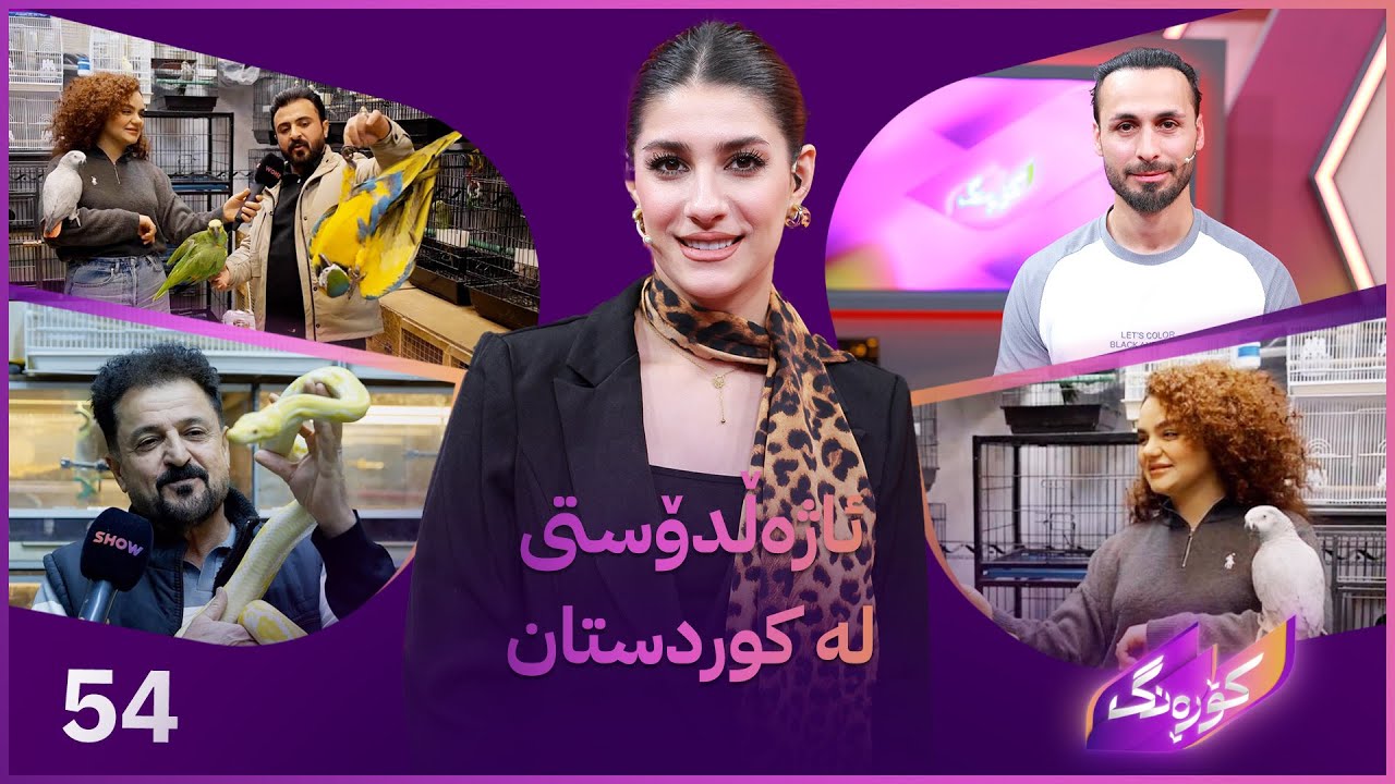 ڤیدیۆ | Korang Alqay 54 |هۆکاری نەخۆشی هاری سەگ و چارەسەرییەکان و نەزۆکی سەگ لە کوردستان