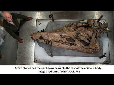 Giant Skull Of 150-Million-Year-Old "Sea Monster" Emerges From UK Cliffs