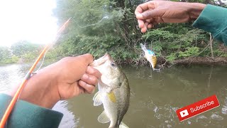 Catching Big Bass On Crank Baits In The Summer !!