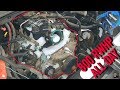 SHOULD WE BUY ALL THE JUNKYARD LS ENGINES? $300 GEN 4 LS 's w/ 799 HEADS | LS Swap and C10 Parts SHOULD WE BUY ALL THE JUNKYARD LS ENGINES? $300 GEN 4 LS 's w/ 799 HEADS | LS Swap and C10 Parts
