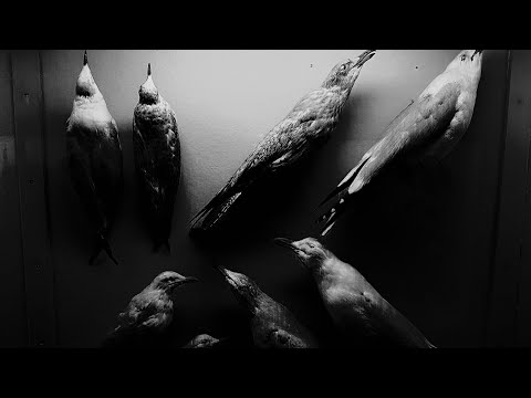 GVLLS - Doomed Mixtape [lofi hip hop / dark ambient]