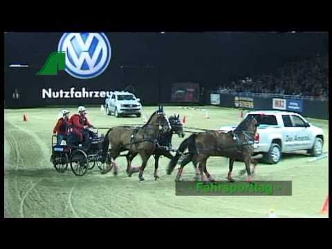 EQUITANA 2011 Tagesclip vom Fahrsporttag am Dienstag, 15.3.2011