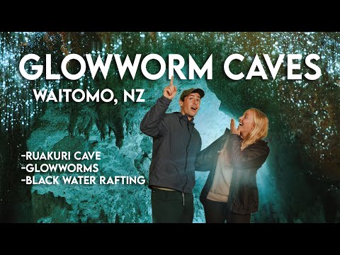 How to Spend a Day in Waitomo, New Zealand: Glowworms, Cave Tours, Black Water Rafting and More!