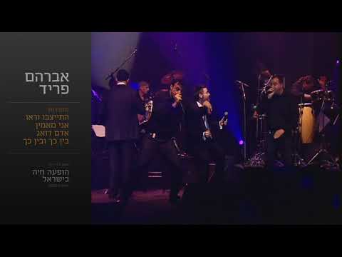 מחרוזת התייצבו - אברהם פריד // Hityatzevu Medly - Avraham Fried