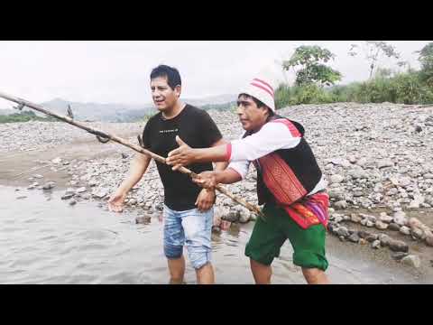 🦈(CLIP) Pescaditos - Cholo Juanito y Richard Douglas ¡Tiburón Cómeme! Los Pescadores (2020)