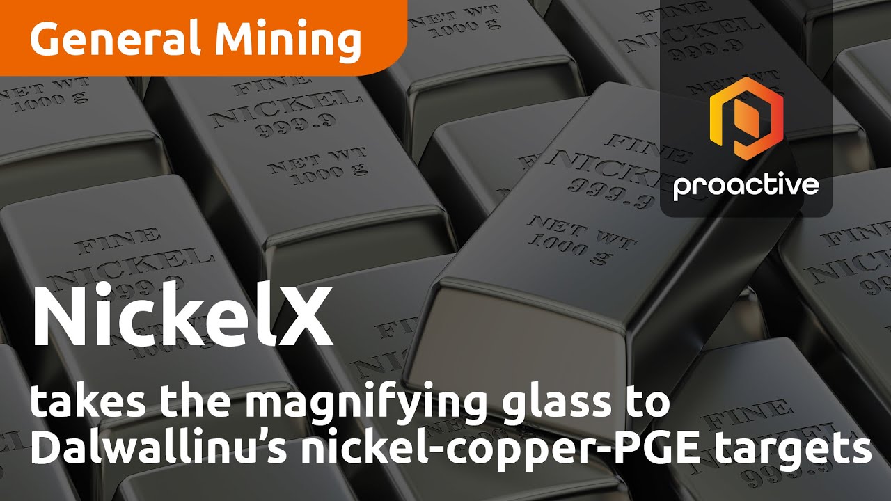 NickelX takes the magnifying glass to Dalwallinu’s nickel-copper-PGE targets