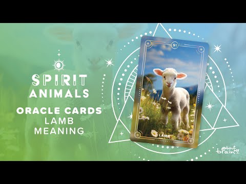 Lamb Spirit Animal | Symbolism & Meaning Explained