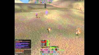 Squaal - PoV Spiritmaster & Bonedancer (Squaalx(x)) - pug Dark Dawn 02/2012.