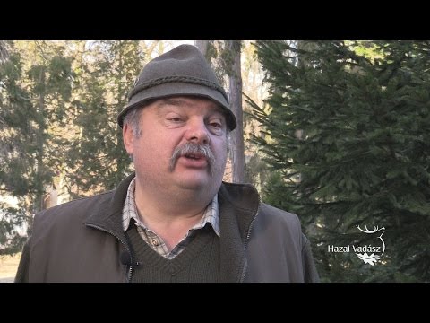 28. KASZÓ KUPA - Országos Véreb Fővizsga - Interjú Dr. Buzgó József elnökkel - 2017.02.25-26.