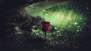 K E M A L - I&#39;ll Stay Here (Lyric Video)