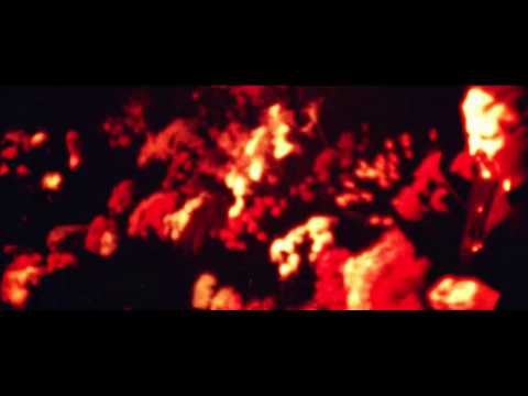 Will - Blacklit Canopy