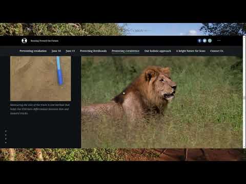 Laly Lichtenfeld | African People & Wildlife