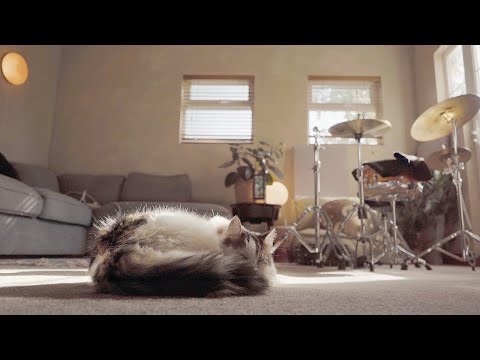 How To Build A Music Studio (& Desk) From Scratch 🎸 Studio Tour