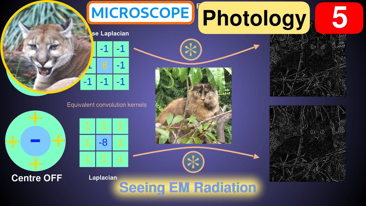 Photology 5: Seeing Electromagnetic Radiation (EMR)